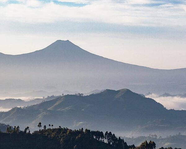 Volcanoes National Park Rwanda